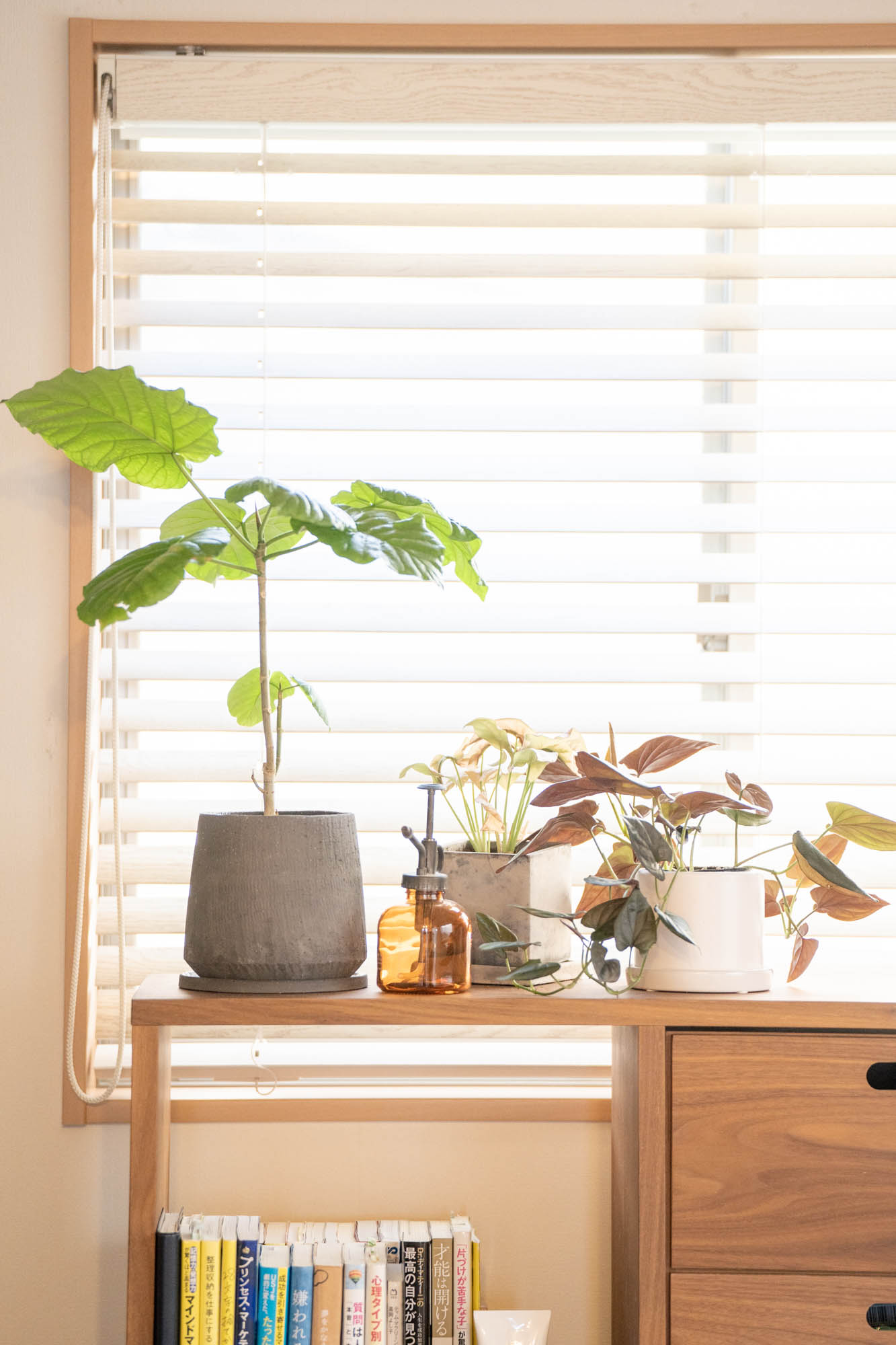 【ホームページ写真】整理収納アドバイザー安田みらいさん自宅 大阪市 女性カメラマン 出張撮影 おかむらじゅんこ